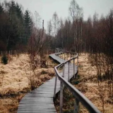 Le D'orpha #2 * Rienne