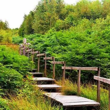 Appartamento Le D'orpha #2