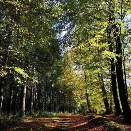 Апартаменты Le D'orpha #2