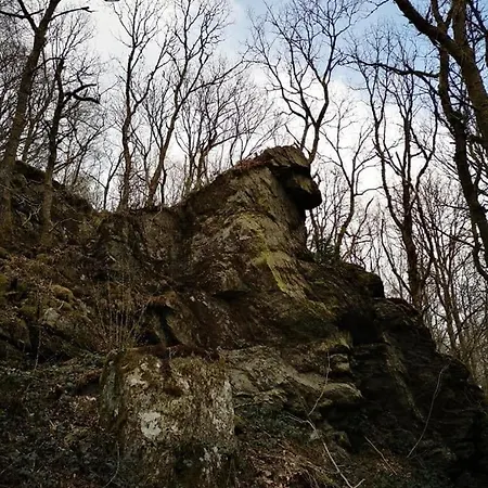 Le D'orpha #2 Appartamento Rienne