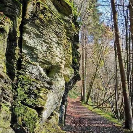 Appartamento Le D'orpha #2 Rienne