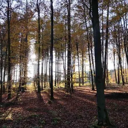 Appartamento Le D'orpha #2 *