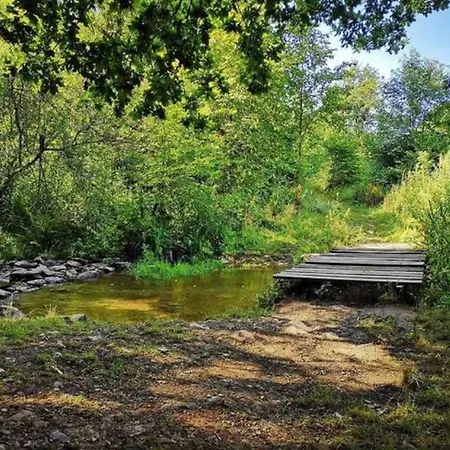 Le D'orpha #2 * Rienne