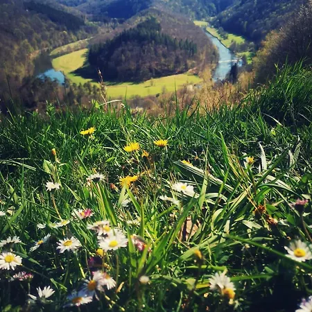 Le D'orpha #2 Appartamento Rienne