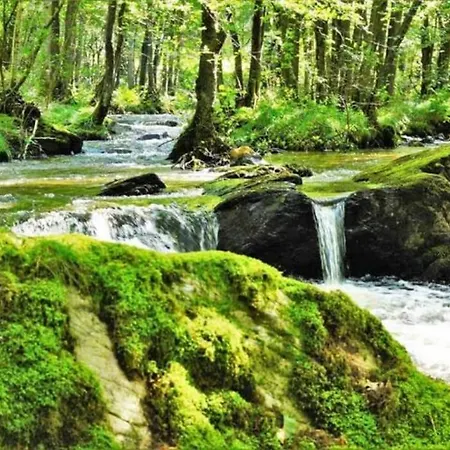 Апартаменты Le D'orpha #2 Rienne