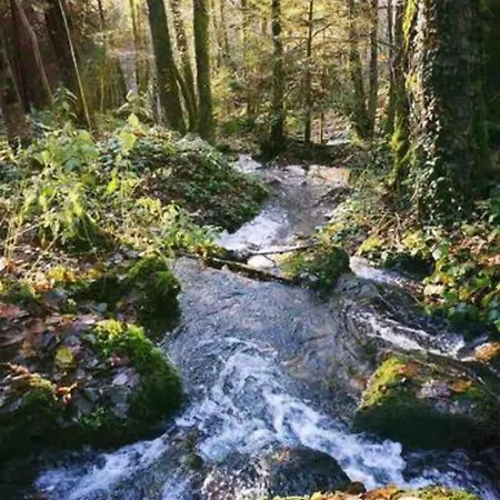 Апартаменты Le D'orpha #2